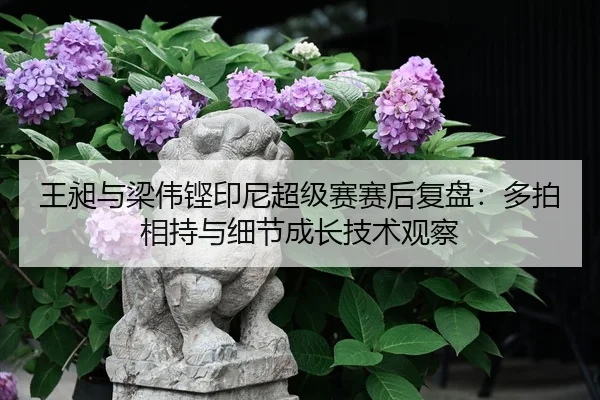 wang-chang-yu-liang-wei-keng-yin-ni-chao-ji-sai-sai-hou-fu-pan-duo-pai-xiang-chi-yu-xi-jie-cheng-zhang-ji-shu-guan-cha-2-591.jpg